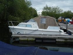 Dolphin 22