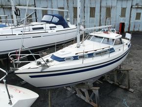 Mascot 28 