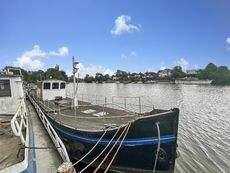 Coverted Dutch Eel Catcher