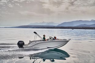 2024 Bayliner M19
