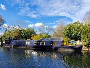 Floating in dappled sunshine