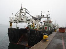 32m Steel Stern Freezer Trawler 