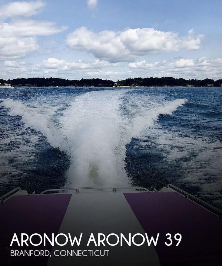 1991 Aronow 39