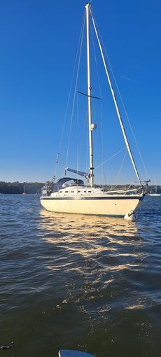 Achilles 840 Yacht