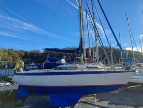 Tomahawk 25 - Great Value - Main Photo