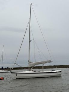 Hawk 20