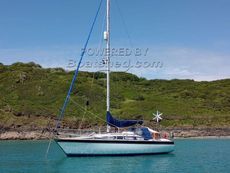 1979 Dolphin 31