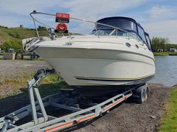 Sea Ray 260 Sundancer Cuddy Cabin 310hp