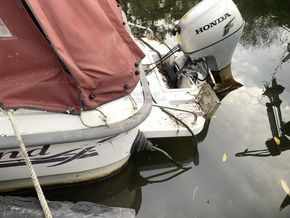 Shetland Family Four  - Stern