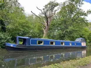 2008 Alexander Boats 60