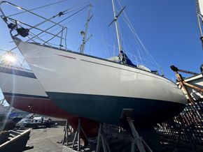 IMG 0178