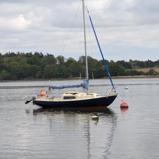 Corribee mk2