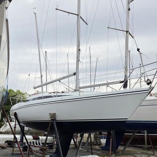 Hunter Horizon 30
