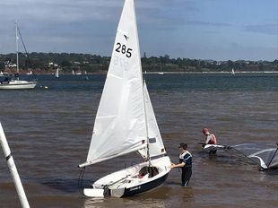 Gull 2875