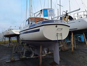 Mascot 28 