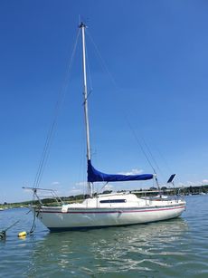 Hurley22 r 