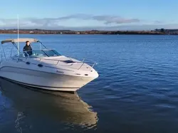 2001 Sea Ray 240 Sundancer