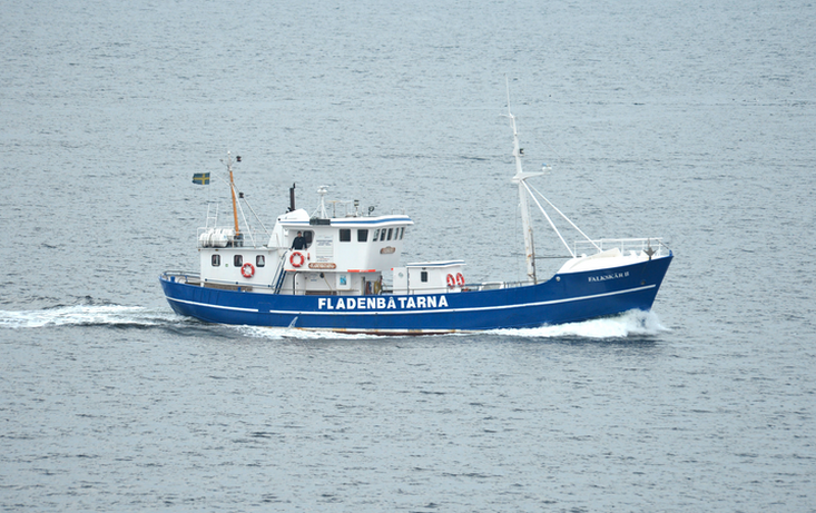 Boats for sale Sweden, boats for sale, used boat sales, Commercial Vessels  For Sale Falkskär II rodfishing vessel, former trawler - Apollo Duck