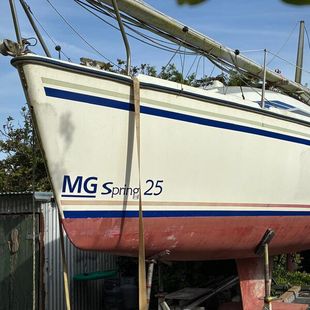MG Spring 25