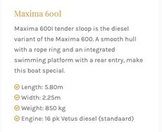 Maxima 6001