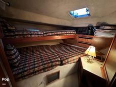 1986 Sea Ray 410 AFt Cabin