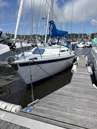 Westerley Oceanquest 35 AC, Osprey