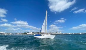 Lovely sail shape