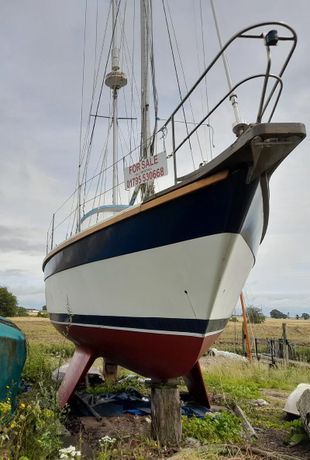COLVIC COUNTESS 33