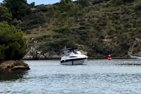 2002 Bayliner  245 4