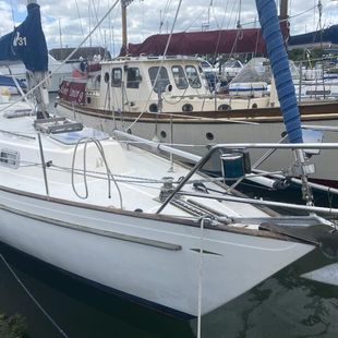 1979 Hallberg-Rassy 31 Monsun
