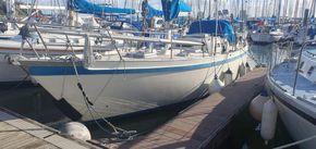 Tradewind 35