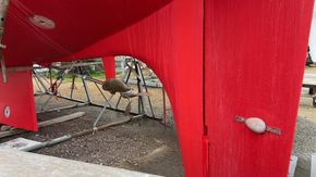 Thumbnail IMG 0961