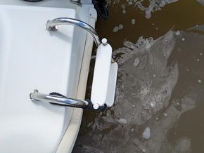 Bathing ladder