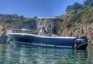 2016 White Shark 226