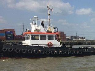 Twin Screw Delta Tug / Workboat for Sale 10 TBP