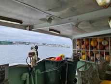 35m Longliner Unrestricted Navigation