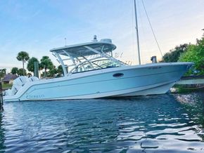 Robalo R317  - Exterior