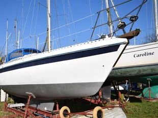 1981 Gibsea 28