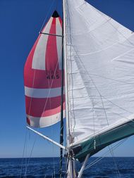 WESTERLY BERWICK 31