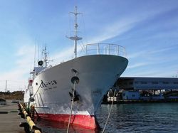 56.7m Fishing Vessel