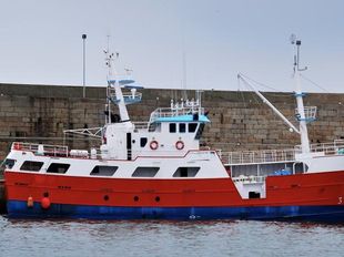 41m Surface Freezer Longliner, 2003