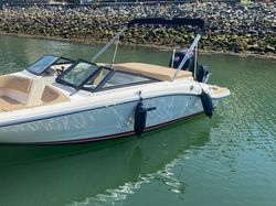 2020 Sea Ray 190 SPX OB