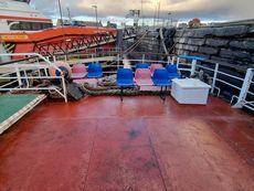 250 DAY PAX FERRY TOUR BOAT FOR SALE