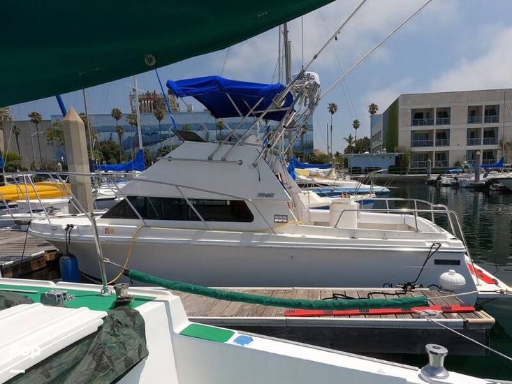 1994 Skipjack 262