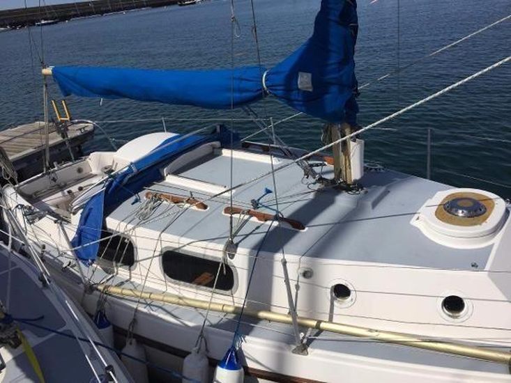WESTERLY TIGER + YARD TRAILER + DINGHY