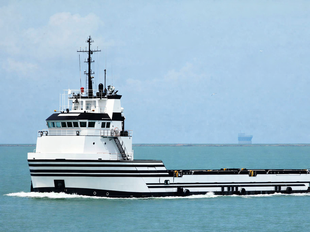 2007 | 85.4 m | DWT 3,629 LT | DP2 PSV | For P&C Sale