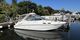 Sealine S29