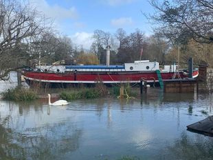 50' Dutch barge, Chertsey area