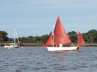 Drascombe Dabber for sale