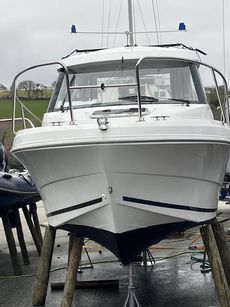 Merry Fisher 595